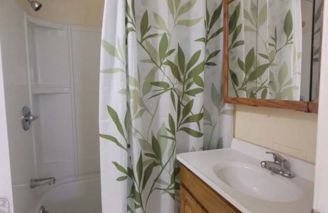 253 Louisburg Street photos photos