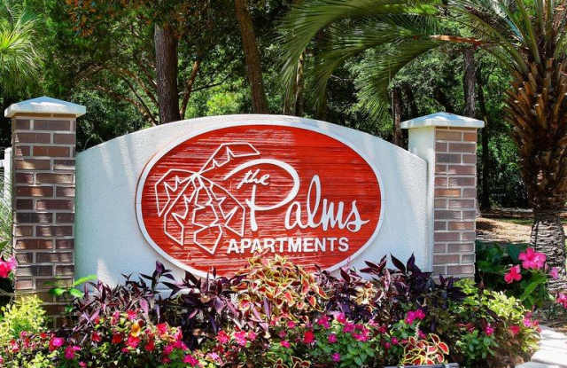 The Palms photos photos The Palms photos photos
