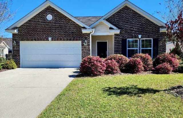 178 Ridge Point Dr - 178 Ridge Point Drive, Red Hill, SC 29526