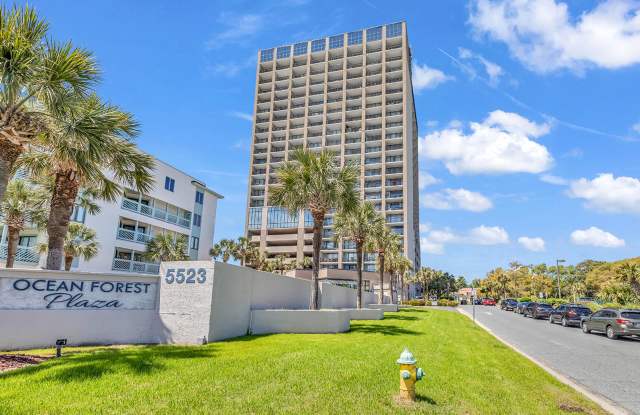 Winter Rental in Myrtle Beach! Unbeatable Ocean View! Perfect location! Beautifully clean! photos photos