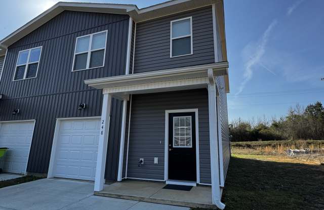 248 Winstead Loop - 1 photos photos