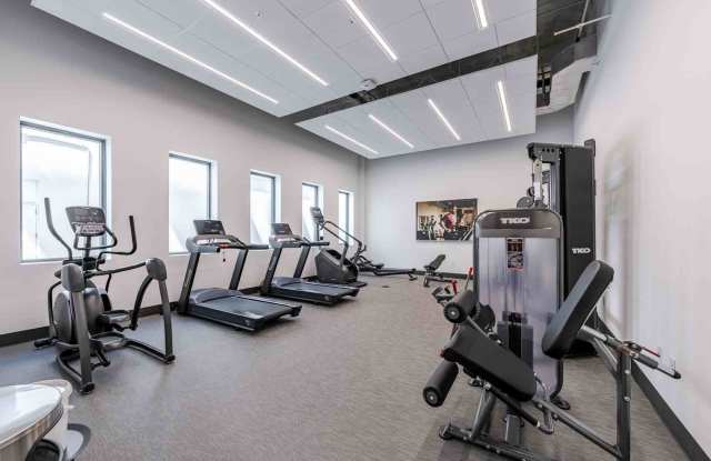 The Anamar at Collins Park - Affordable Housing Gallery 2