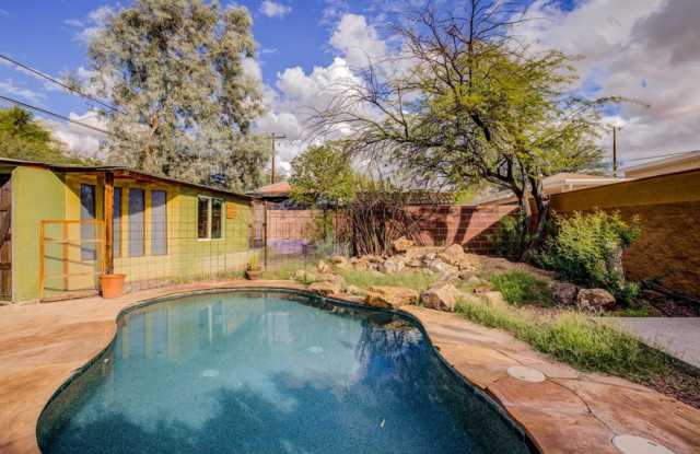 1 Bedroom 1 Bathroom - 428 North Wilson Avenue, Tucson, AZ 85719