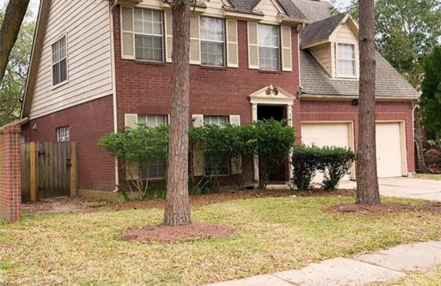 14203 Cascade Falls Drive - 14203 Cascade Falls Drive, Houston, TX 77062