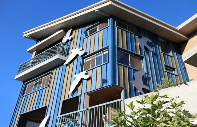 Flock LA photos photos Flock LA photos photos