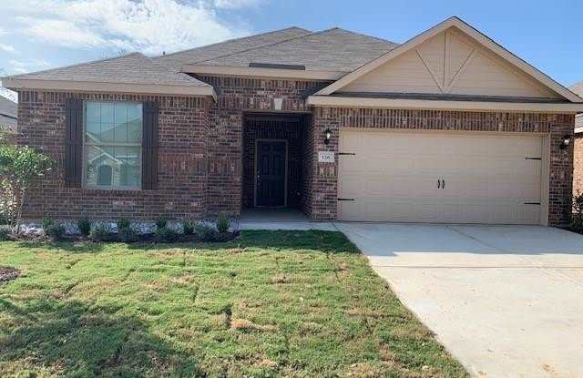 135 Morning Glory photos photos