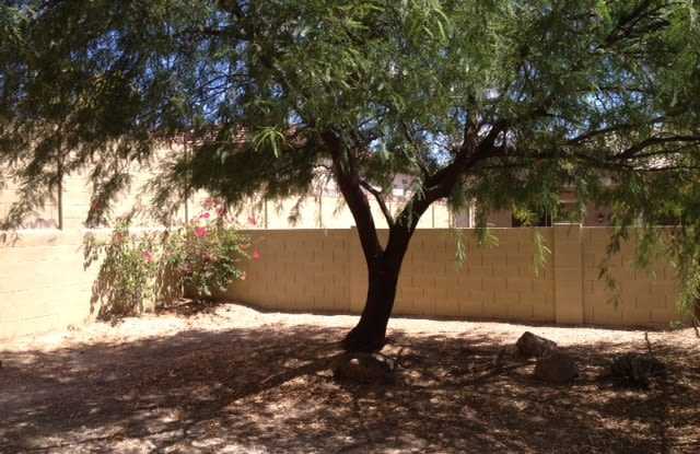 COMING SOON - Open and Airy 4 Bedroom Home with Private Pool in West Wing Peoria!!! Gallery 4