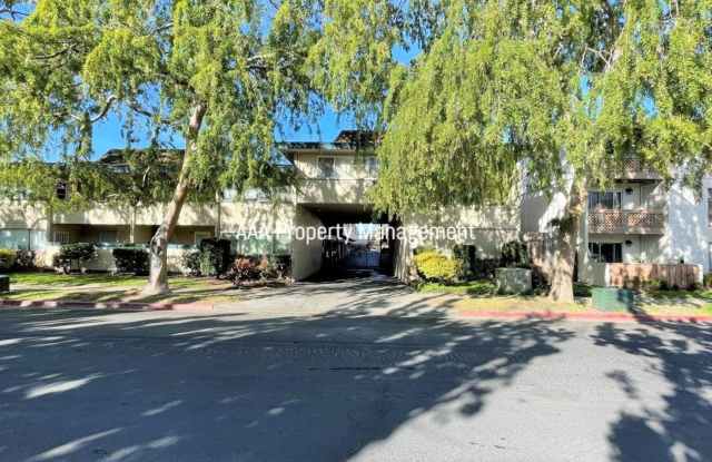 Concord Beautiful remodeled 1 bedroom 1 bath condo! Central location photos photos