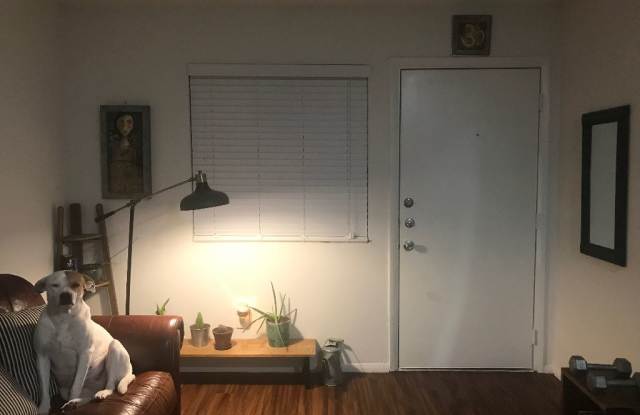 2882 BARTON SKWY Gallery 3