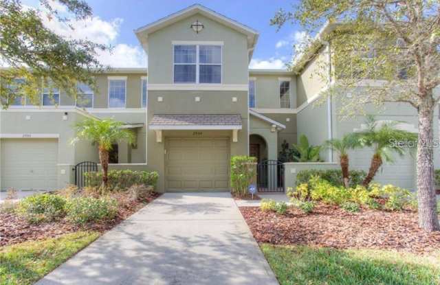 2955 WILLOWLEAF LANE - 2955 Willowleaf Lane, Wesley Chapel, FL 33544