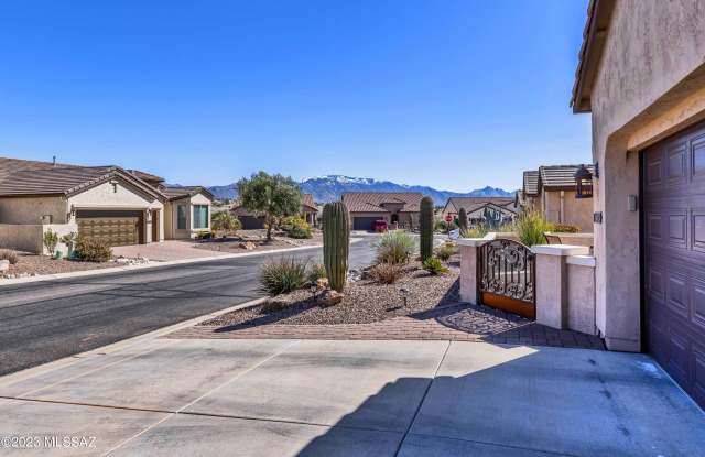 32414 S Desert Pupfish Drive Gallery 2