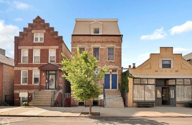 1647 W 17th Street - 1647 West 17th Street, Chicago, IL 60608