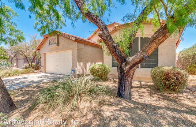4426 E. Lone Cactus Drive Gallery 2