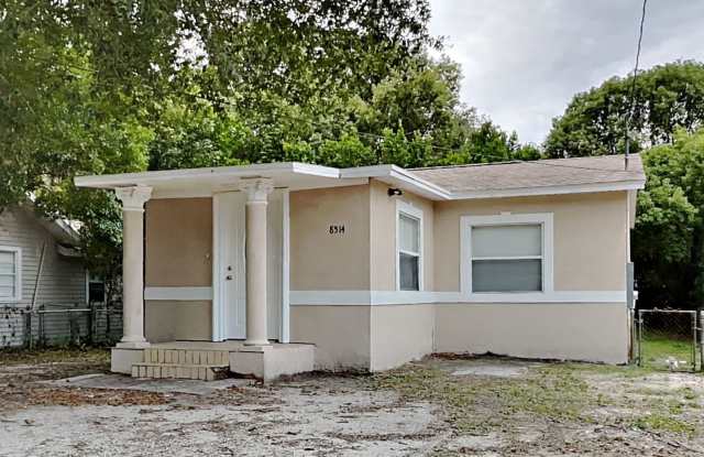 Charming 3 Bed Home with Fenced Yard in Tampa, FL photos photos