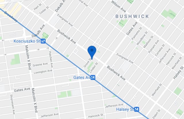 1002 Bushwick Avenue - 1002 Bushwick Avenue, Brooklyn, NY 11221