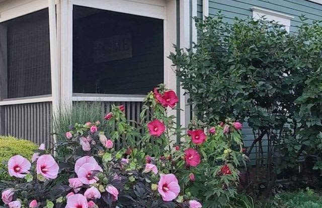 124 Pond Road Gallery 2