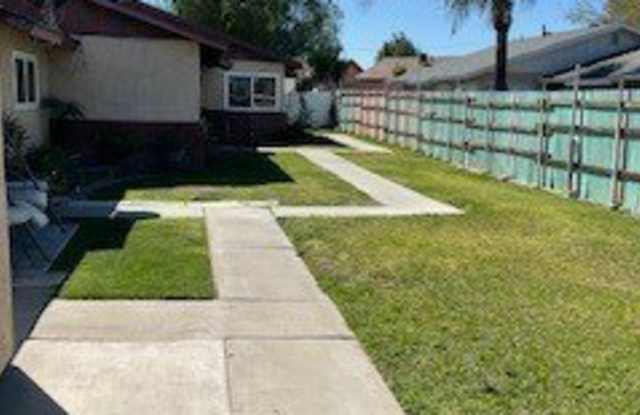 6635 Begonia photos photos