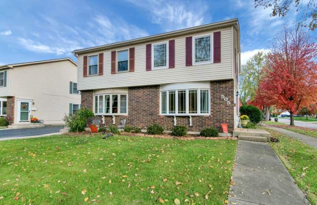 505 West Benton Avenue - 505 West Benton Avenue, Naperville, IL 60540