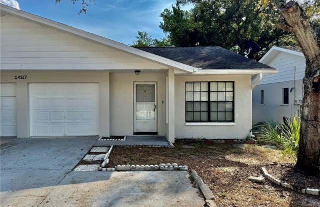 5487 SAWYER ROAD - 5487 Sawyer Road, Town 'n' Country, FL 33634