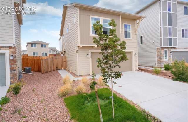 8042 Jayla Trail Gallery 2