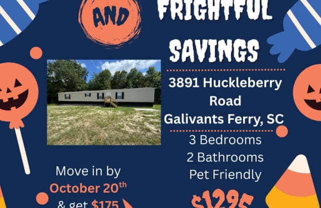 **FRIGHTFUL SAVINGS!** Galivants Ferry - 3 Bedroom / 2 Bathroom Manufactured Home photos photos