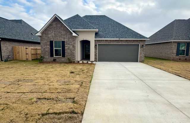 Canes Landing! photos photos