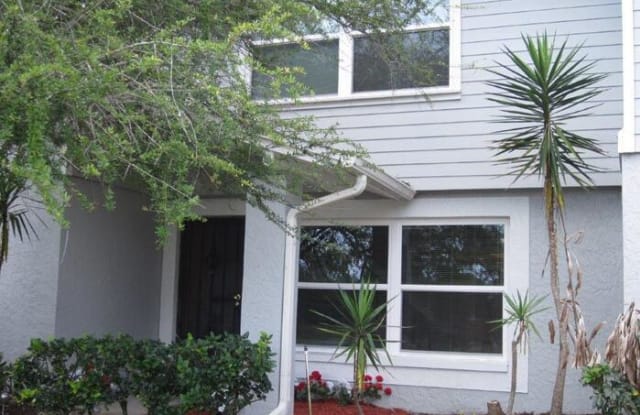 14711 Lake Forest Drive - 14711 Lake Forest Drive, Hillsborough County, FL 33559