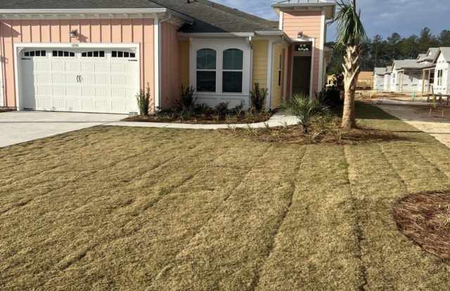 1696 Shoreside Drive - 1696 Shoreside Drive, Hardeeville, SC 29927