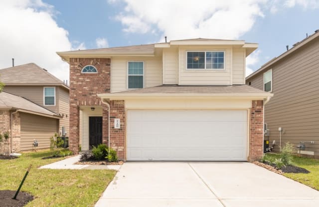17106 Andrew Nook Lane - 17106 Andrew Nook Ln, Fort Bend County, TX 77407
