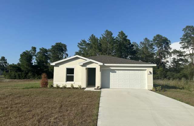 16489 Sw 22nd Terrace Rd - 16489 Southwest 22nd Terrace Road, Marion County, FL 34473