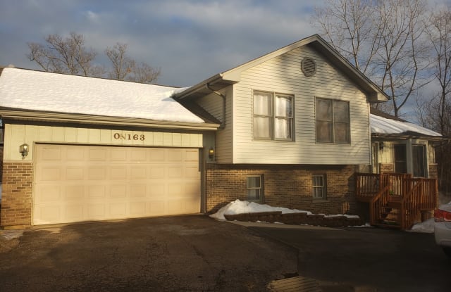 163 South Neltnor Boulevard - 163 South Neltnor Boulevard, DuPage County, IL 60185