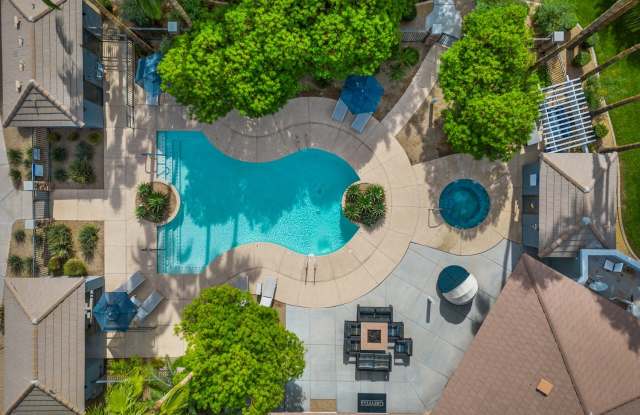 Indigo photos photos