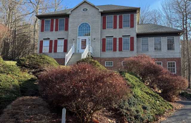 141 PLAYER CT photos photos