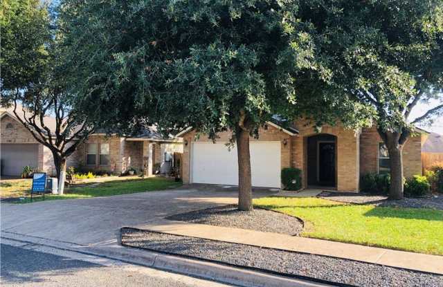 Charming 3 Bed/2 Bath Single Story Round Rock Home with Large Backyard photos photos