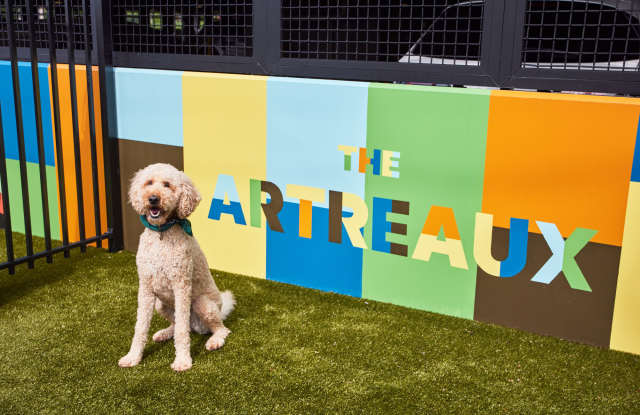 The Artreaux Apartments and Townhomes Gallery 2
