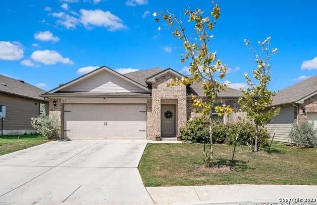 723 Armadillo - 723 Armadillo Drive, Seguin, TX 78155