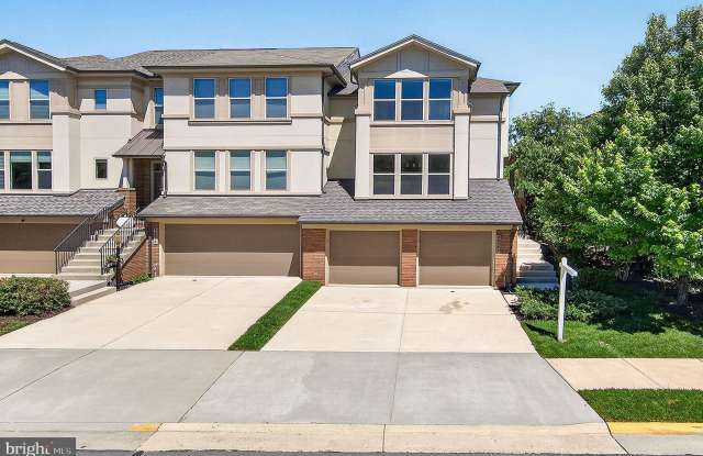 23394 EVENING PRIMROSE Square photos photos 23394 EVENING PRIMROSE Square photos photos