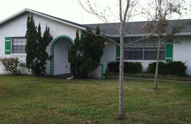 513 Constitution Drive - 513 Constitution Drive, Pine Castle, FL 32809