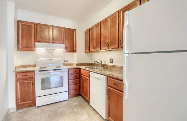 Gorgeous highrise apartment in Washington Park! photos photos