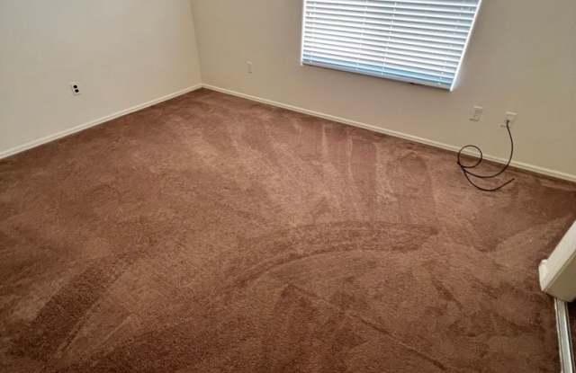 55+ Community Gallery 3