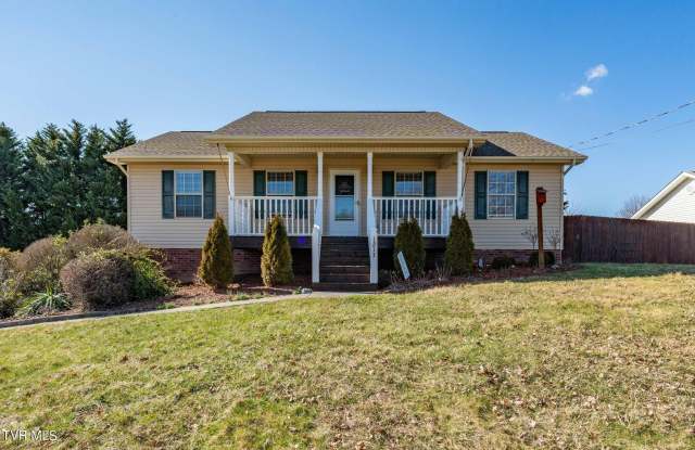1213 American Way - 1213 American Way, Washington County, TN 37659