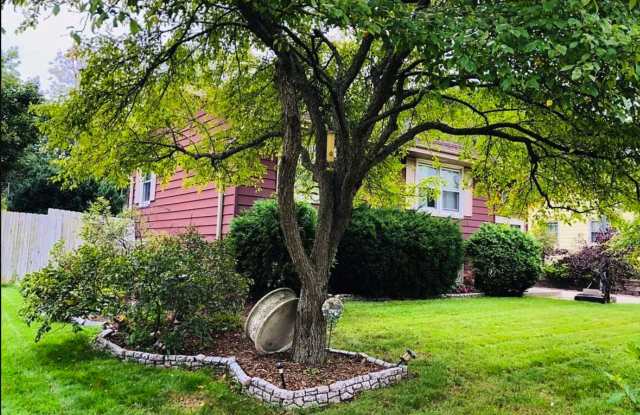 237 Willow Drive photos photos