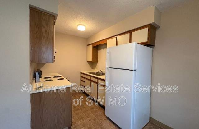 1312 E McDaniel - 1312 East McDaniel Street, Springfield, MO 65802