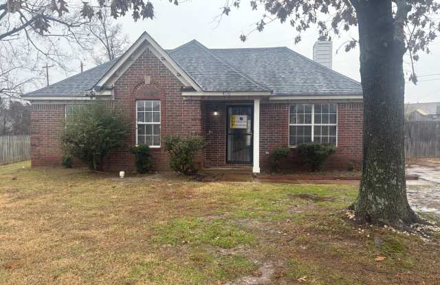 4710 Sage Grass Cv photos photos