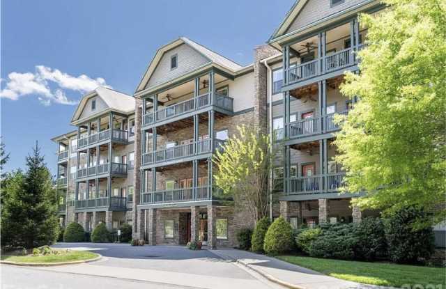 Beautiful Asheville Condo-Located in The Beaucatcher House! photos photos