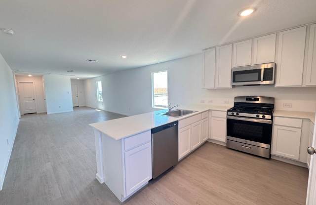 2303 Camellia Rose Gallery 4