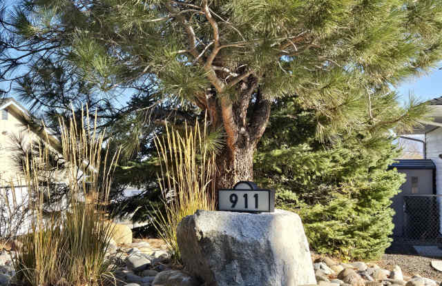 911 Bollen Cir - 911 Bollen Circle, Douglas County, NV 89460