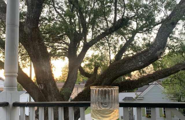 439 Huger Street - 439 Huger Street, Charleston, SC 29403