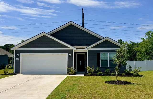 532 Scarlet Sage Drive Gallery 2