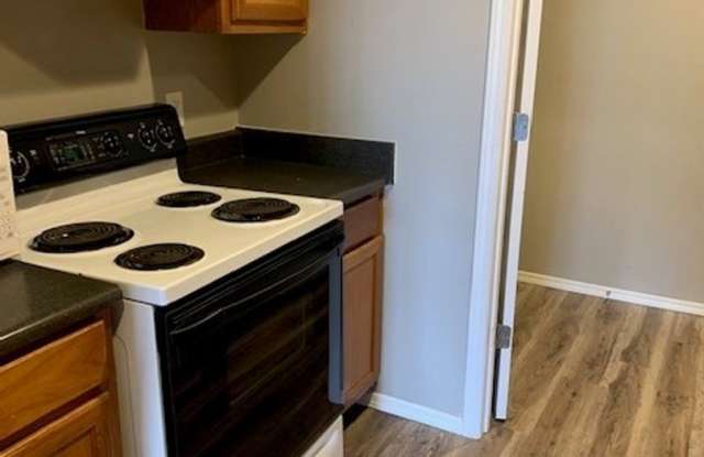 Coming SOON - Newly Renovated 3 Bedroom 2 Bath Apartment for Rent in Branson, MO Gallery 3
